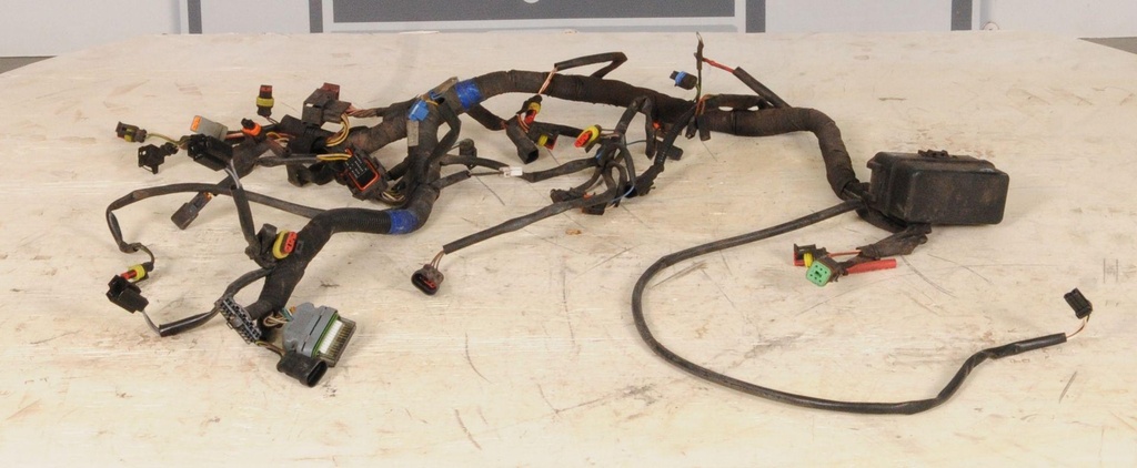 MAIN HARNESS