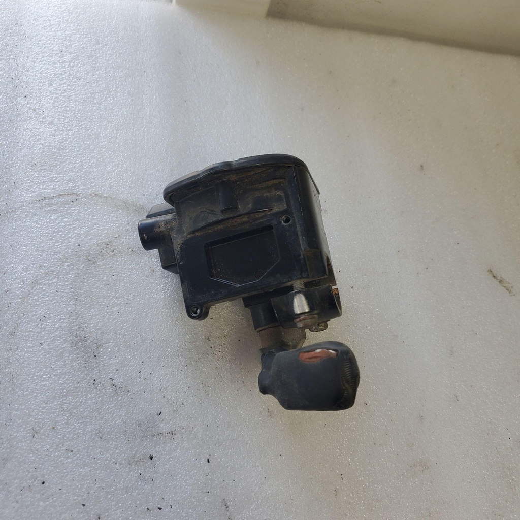 Throttle Lever Assy