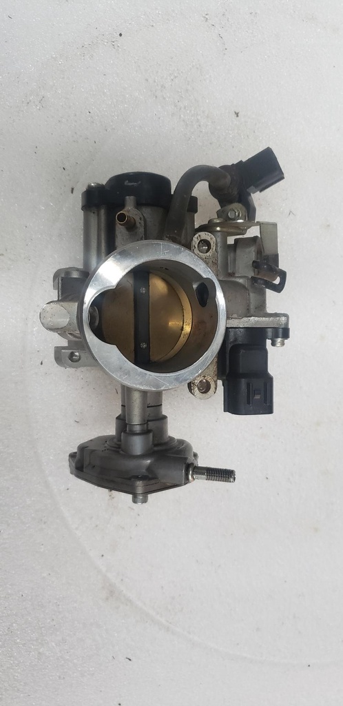 Throttle Body Assy