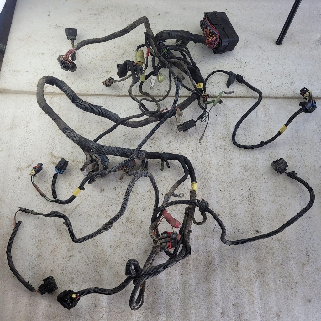 harness ass'y model europe, t3