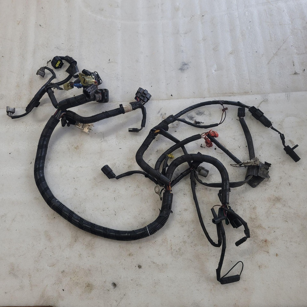 HARNESS MAIN