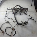 Harness, Main SP500 20