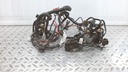 HARNESS,MAIN