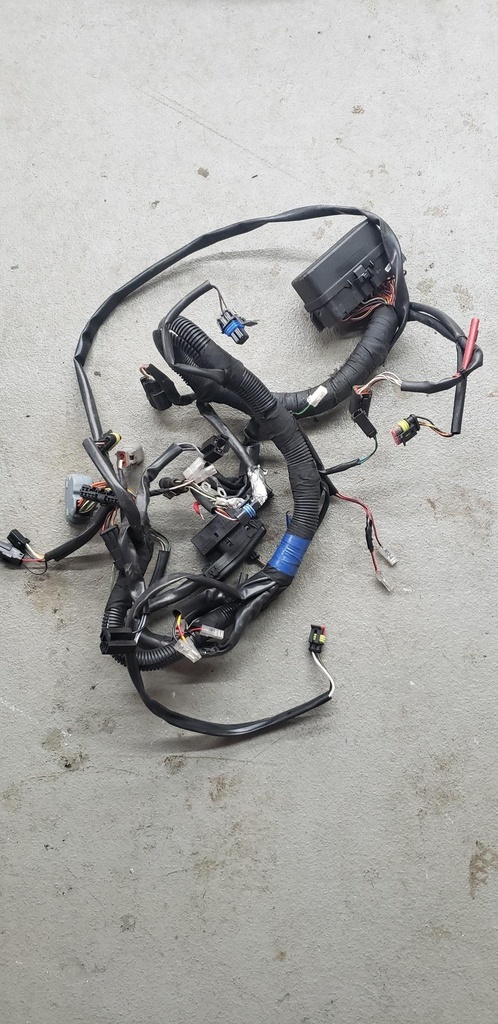 Main Harness