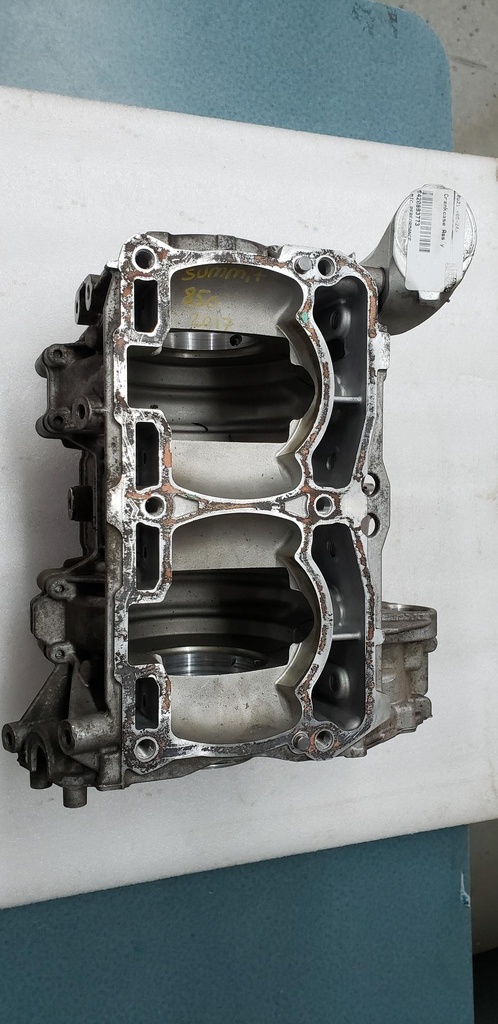 [420893773-001] crankcase ass'y (420893773-001)