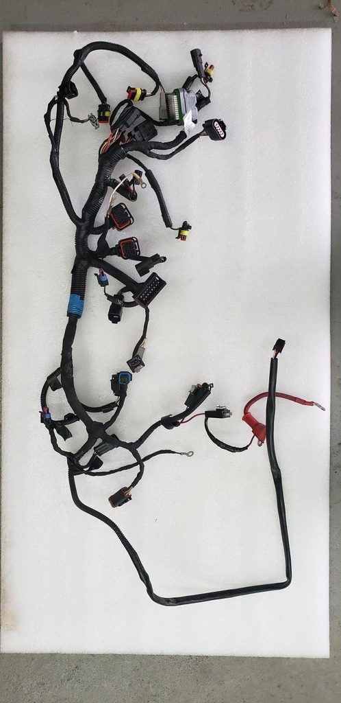Main Wiring Harness Ass'y 600HO E-TEC