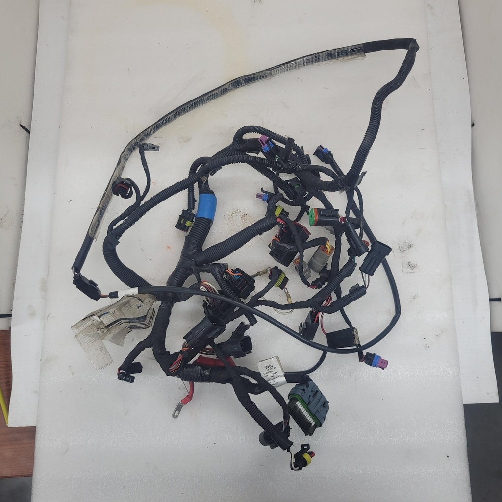 [515177541-001] Main Harness 600HO ETEC (515177541-001)