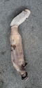 ASM-EXHAUST PIPE,TWIN - POLARIS - 1263019