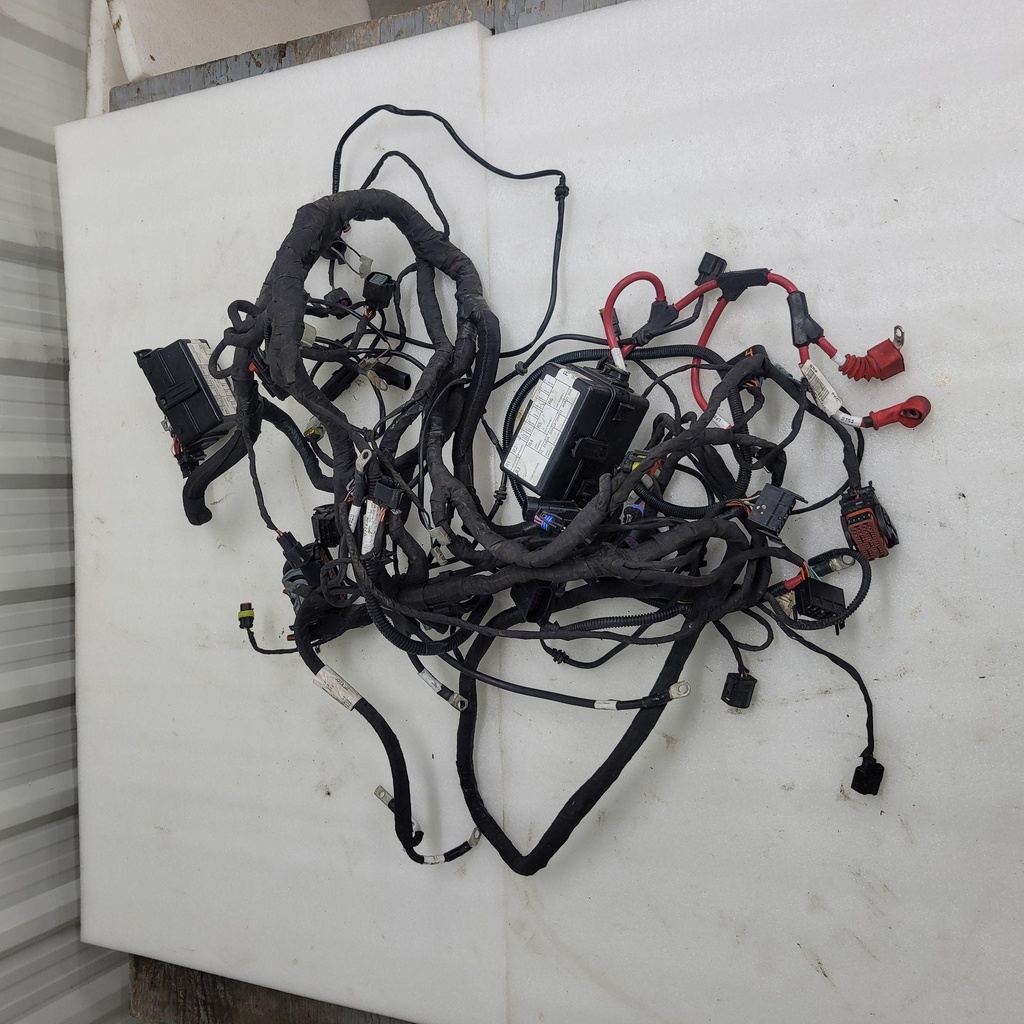 [710007531-001] Chassis Wiring Harnes