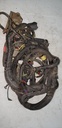 Main Harness Ass'y