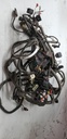 BOMBARDIER Main Harness Ass'y - 710002540