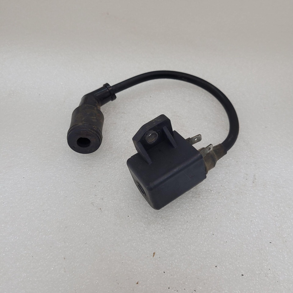 COIL ASSY, IGNITION