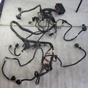 harness ass'y model europe, t3