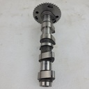 (new ref. 420820102) camshaft, intake