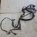 Harness, Main